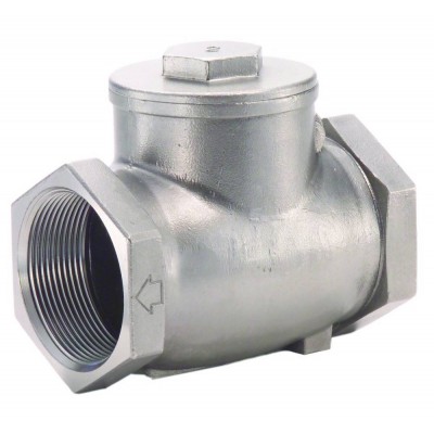 1" Fnpt Stainless Steel Check Valve